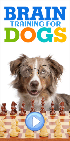 Brain Training for Dogs, a genius approach to a calmer, focused dog